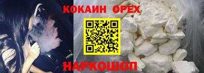 гашик Моздок